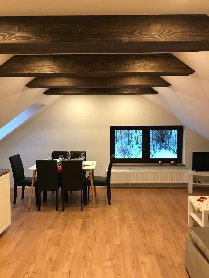 Apartamenty Goszowianka Stronie Śląskie Eksteriør billede