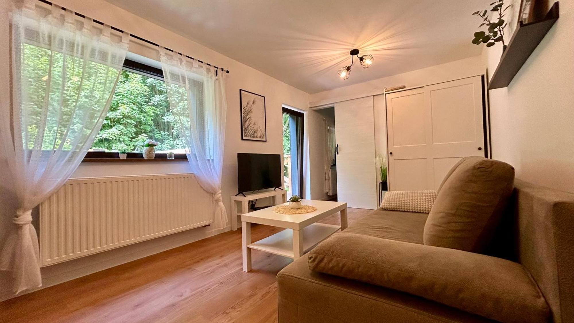 Apartamenty Goszowianka Stronie Śląskie Eksteriør billede
